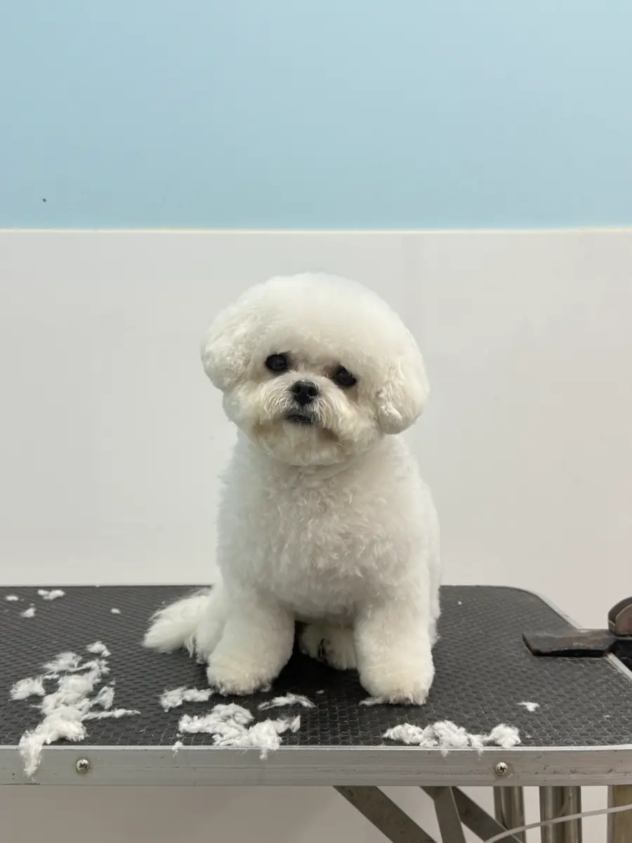 Grooming thumbnail 4